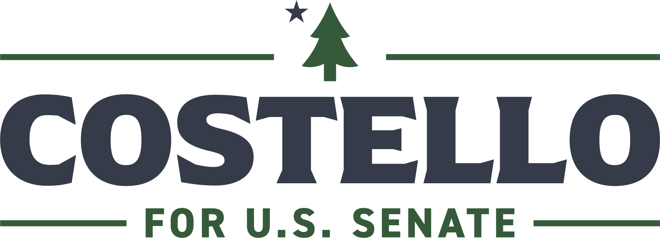 David Costello for Senate logo